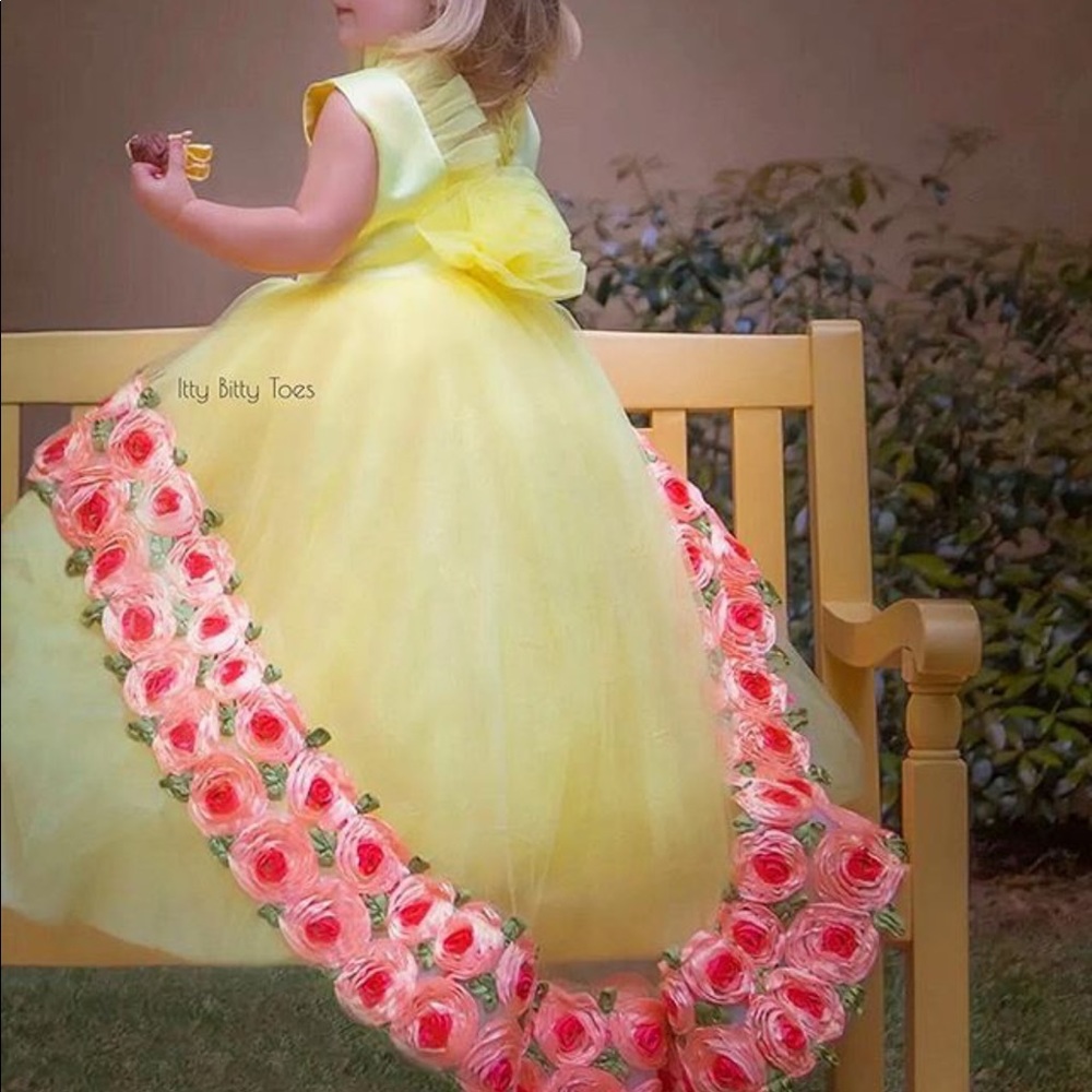 Itty Bitty Toes Ella dress - 2 year